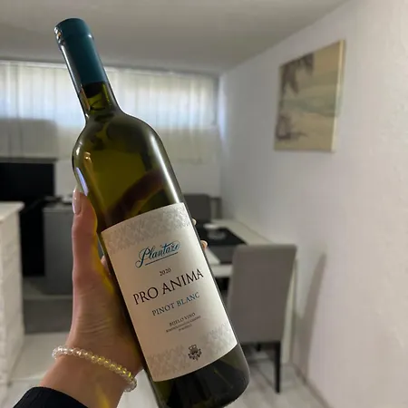 Bronze Apartamento Podgorica